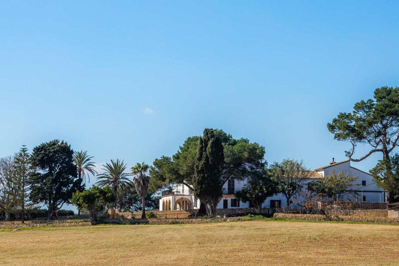 Lejlighed Son Crespi Vell